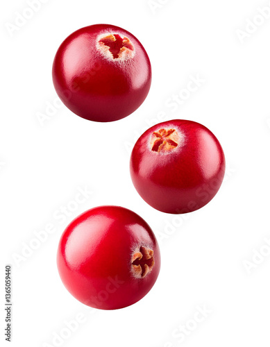 three fresh cranberries falling on transparent background