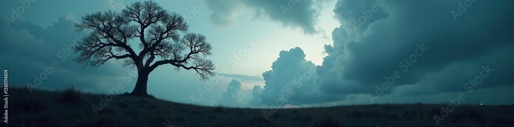 Silhouette of dead tree against dark dramatic sky with white clouds background, symbolizing death, peace, despair, sadness of nature, despair, death Silhouette of dead tree against dark dramatic sky with white clouds background, symbolizing death, peace, despair, sadness of nature, despair, death