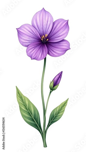 Hand drawn watercolor purple flower with leaves on white background,  foliage,  vibrant colors