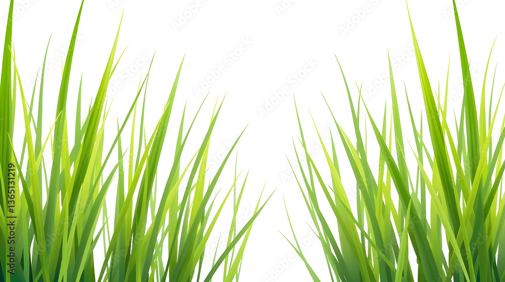 Obraz premium fresh green grass isolated on transparent background