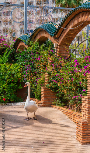 Marina d`Or wildlife in gardens Oropesa del Mar Spain tourist destination
