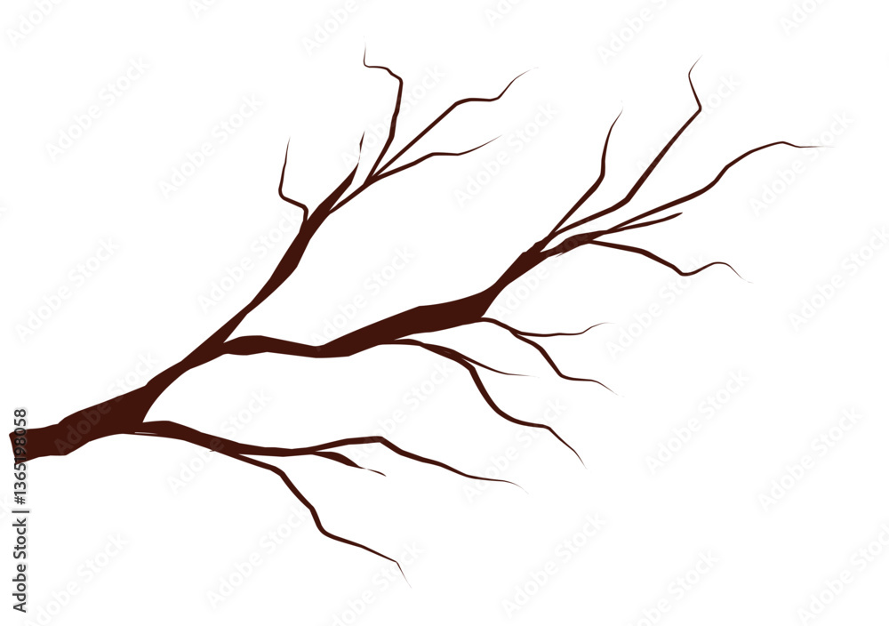 Fototapeta premium silouette of tree branch