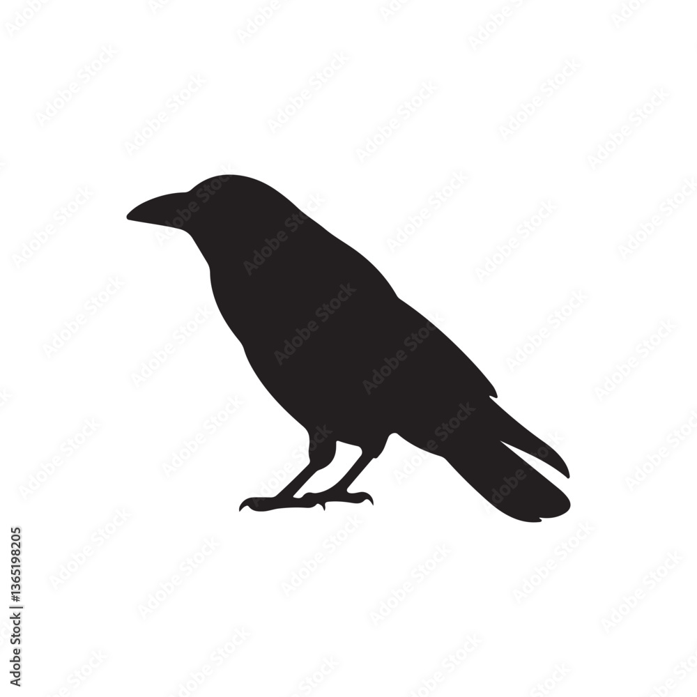 Fototapeta premium A black silhouette Crow bird
