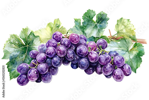 A watercolor illustration of a bunch of purple grapes with green leaves on a transparent background