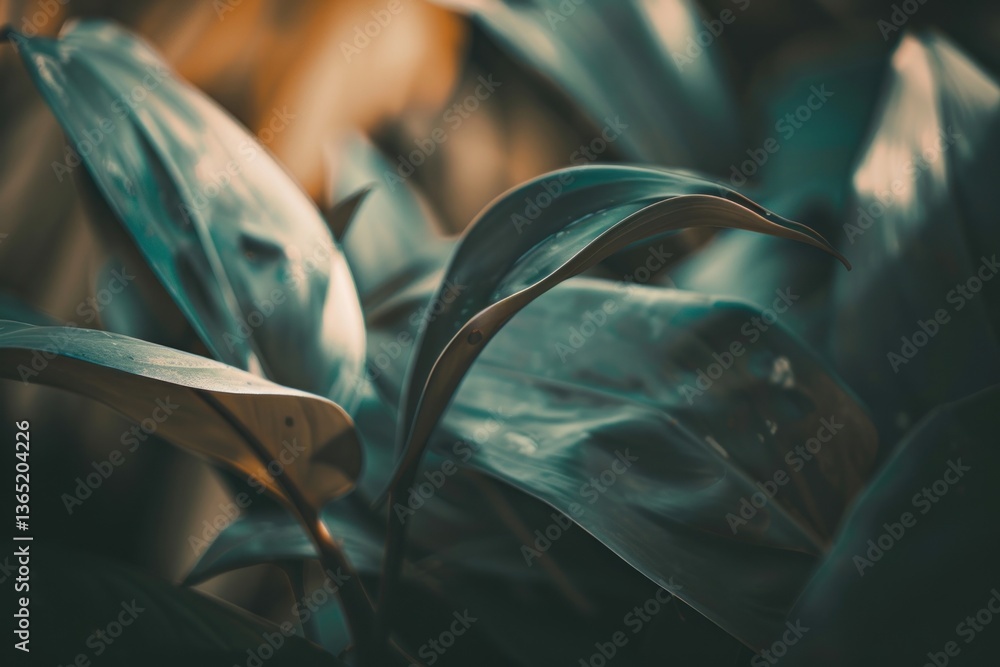 Naklejka premium Tropical leaves outdoors person plant.