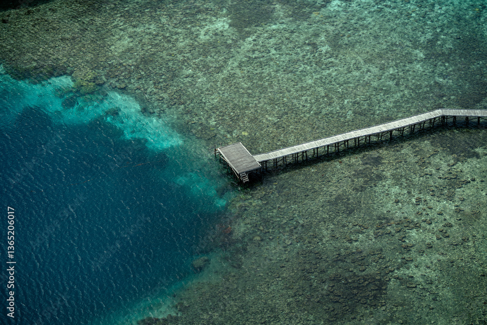 A long wooden pier extends over shallow, crystal-clear waters with a small hut at the end. The coral reef below is visible, transitioning into deep blue ocean. Aerial view of a tropical paradise A long wooden pier extends over shallow, crystal-clear waters with a small hut at the end. The coral reef below is visible, transitioning into deep blue ocean. Aerial view of a tropical paradise