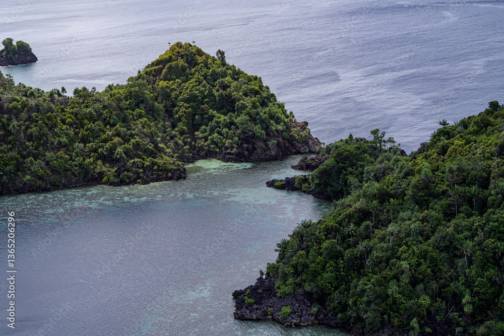 Tropical island with lush green vegetation, rocky cliffs, and crystal-clear turquoise waters. Aerial view of a serene coastal landscape with untouched nature, perfect for travel, nature, and adventure Tropical island with lush green vegetation, rocky cliffs, and crystal-clear turquoise waters. Aerial view of a serene coastal landscape with untouched nature, perfect for travel, nature, and adventure