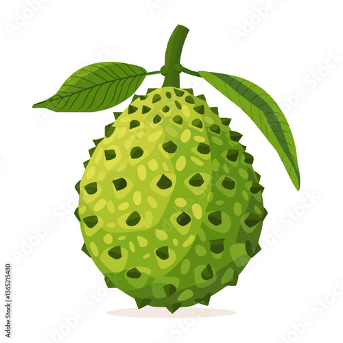 Spiky green durian fruit illustration on white background.