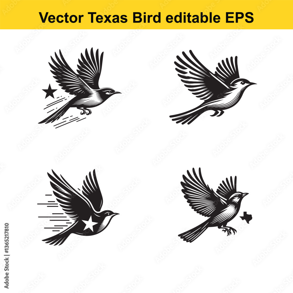 Vector birds, the Texas state birds, sitting, flying, and standing Vector birds, the Texas state birds, sitting, flying, and standing