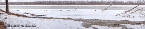 Bild auf Leinwand panorama of a river with flooded trees and ice-bound trees