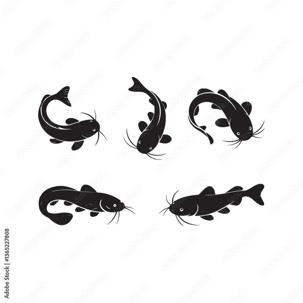 Fototapeta premium A vector illustration of a full black catfish silhouette sets on white background