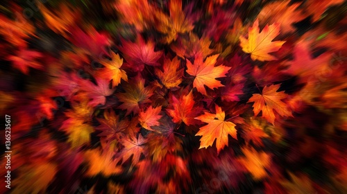 Autumn leaves, vibrant colors, forest floor, zoom effect, fall background