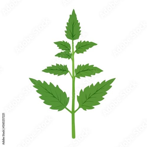 A Simple flat 2D icon nettle branch leaves isolated on a transparent background, vector, flat design, vector, animation design, simple flat 2D icon, clipart