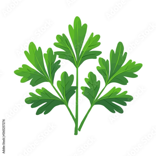 A flat 2D illustration of green parsley isolated on a white background, ai, flat 2d design, EPS format on transparent background