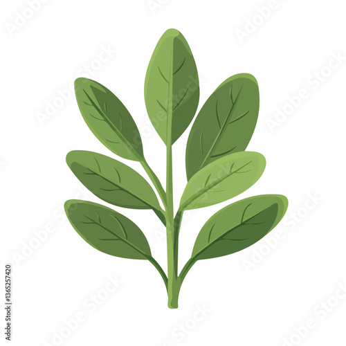 A Simple flat 2D icon green sage branch leaves set isolated on transparent background, vector, flat design, animation design, vector, flat design, animation design, simple flat 2D icon, clipart