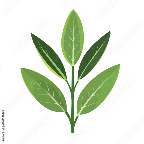 Simple flat 2D icon sage branch leaves set isolated on transparent background, vector, flat design, animation design, vector, flat design, animation design, simple flat 2D icon, clipart