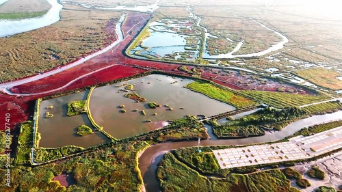 4k Video Panjin Red Beach Aerial Panorama Showcasing Vibrant Red Reeds and Lush Waterways in China’s Unique Wetland Ecosystem