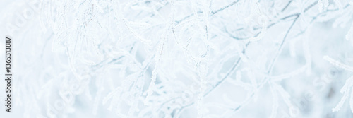 Obraz na płótnie Snow and rime ice on the branches of bushes. Trees covered with hoarfrost. Plants in the park are covered with hoar frost. Cold snowy winter weather. Frosting texture. Wide panoramic light background. w salonie