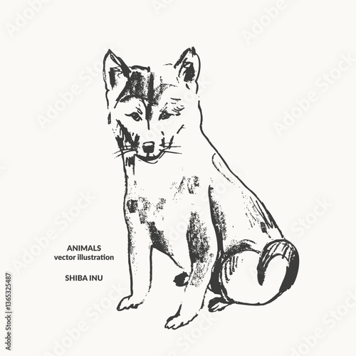 Hand drawn ink sketch of shiba inu japanese dog puppy. Cute funny pet in a sitting pose isolated on white background.