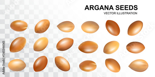 Argan Nuts set, Argania Oil Seeds for Natural Organic Cosmetic, Skincare Argan Fruits