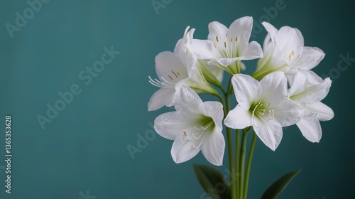 Close-Up of Delicate Blooming White Flower Against Soft Green Background