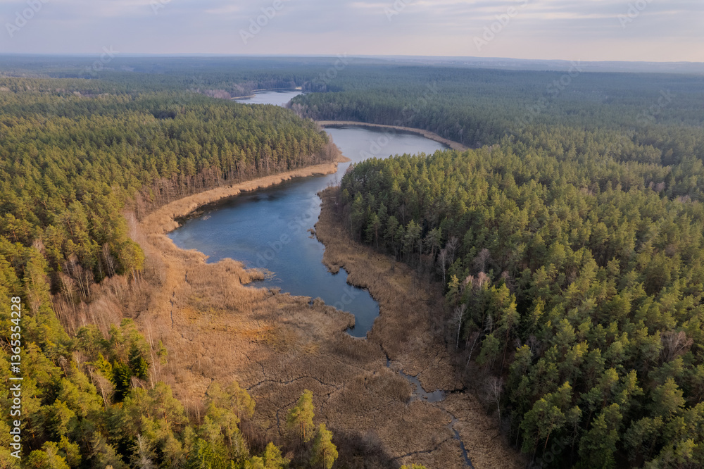Obraz premium Aerial spring day view of beautiful Tapeliai and Balžis lakes and forest in Vilnius, Lithuania