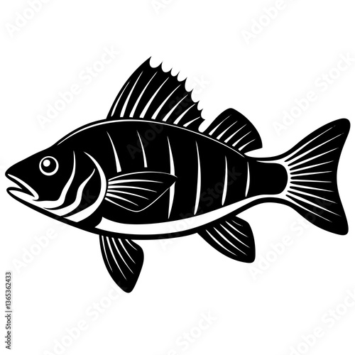 High-quality perch fish vector design, perfect for digital and print projects.