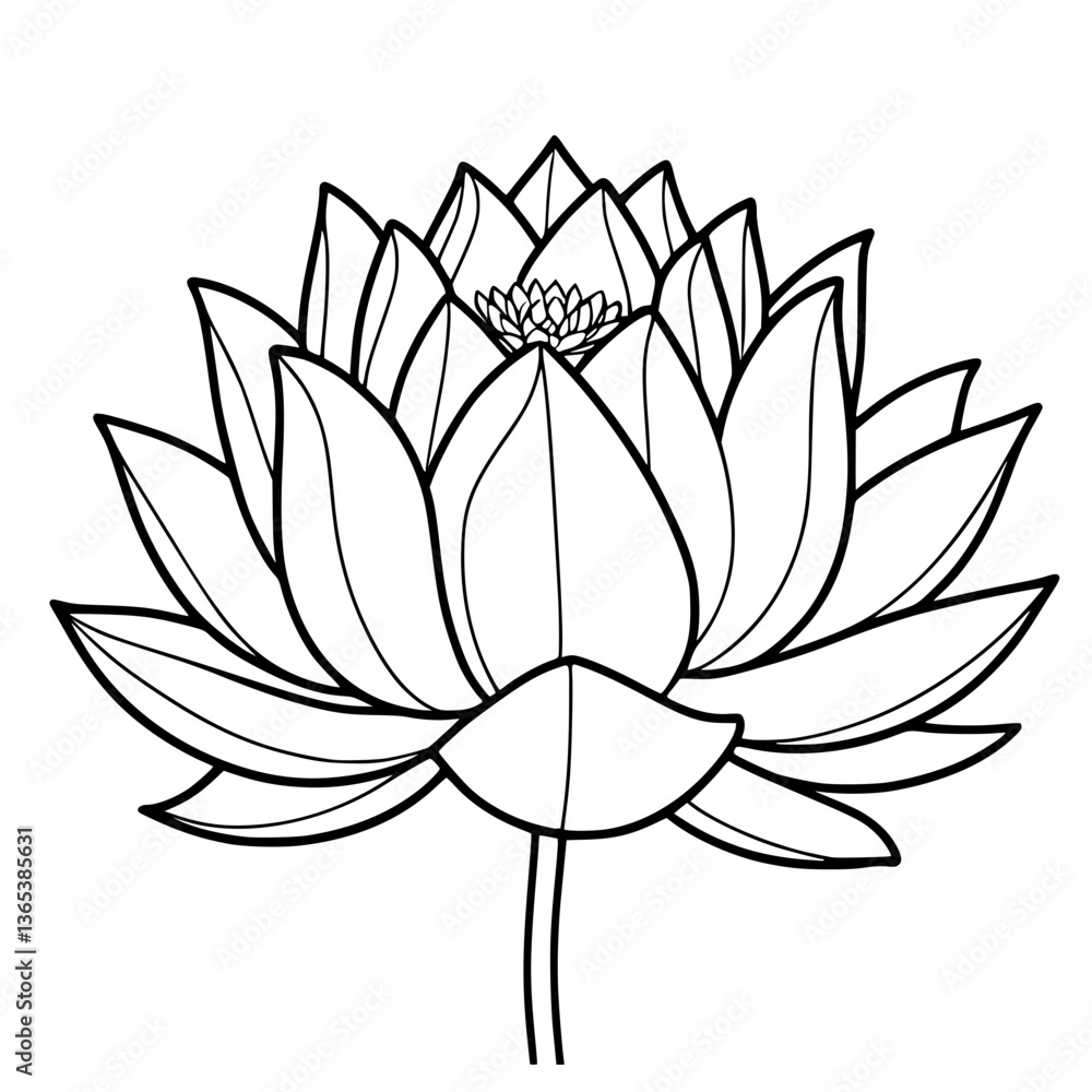 Vector Illustration of a Lotus Flower with Symmetrical Petals in Simple Flat Botanical Style Vector Illustration of a Lotus Flower with Symmetrical Petals in Simple Flat Botanical Style