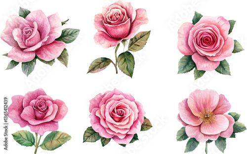 watercolor pink rose flower bouquet	
