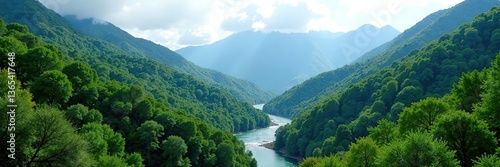 Scenic view of mountains, forests, and rivers in the Ashio area of Japan,  Japan,  adventure