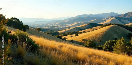Scenic view of rolling hills and native plants at San Marcos Foothills Preserve in Goleta, Santa Barbara County,  vegetation,  outdoor