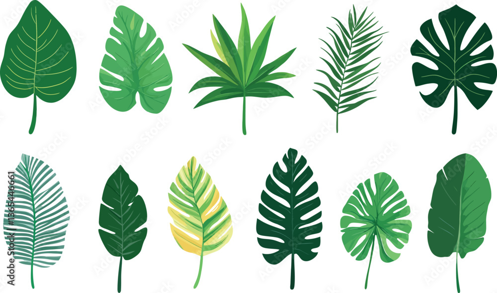collection of green leaves collection of green leaves