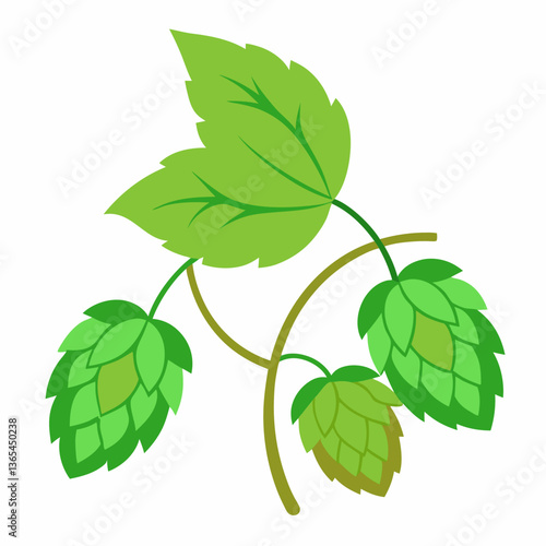 Hop shoots isolated on white