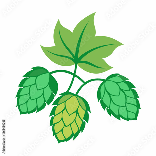 Hop shoots isolated on white