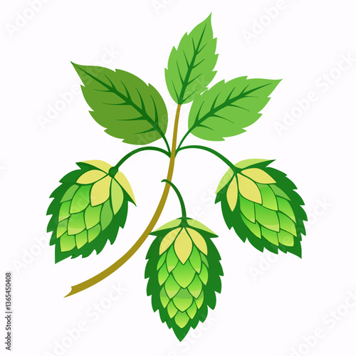 Hop shoots isolated on white