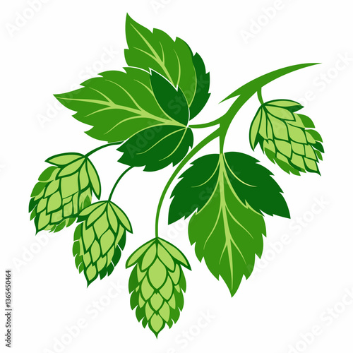 Hop shoots isolated on white