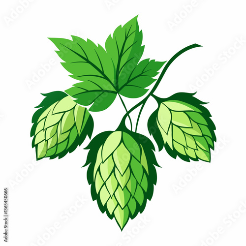 Hop shoots isolated on white