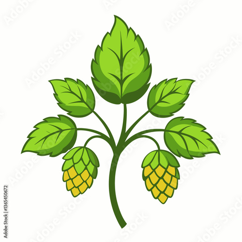 Hop shoots isolated on white