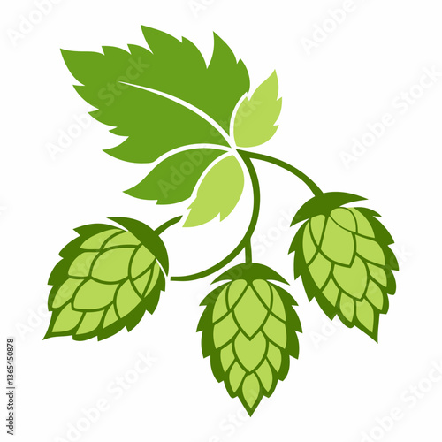 Hop shoots isolated on white