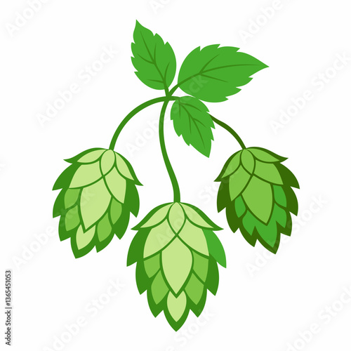 Hop shoots isolated on white