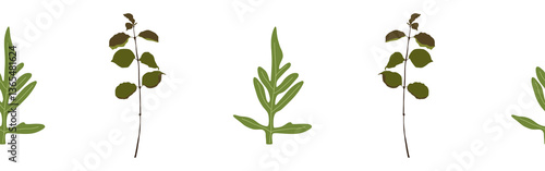 Wallpaper Mural Leaves border on a white background. Hand-drawn illustration. Perfect for spring and summer. Torontodigital.ca