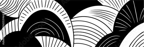minimal abstract pattern with curved striped shapes in bold black and white contrast