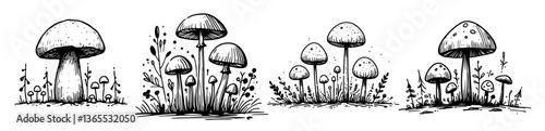 hand drawn vector of various mushrooms growing in forest, vintage black and white sketch style
