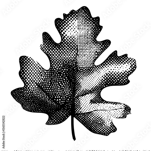 oak leaf in halftone engraving style, vintage black and white nature vector illustration