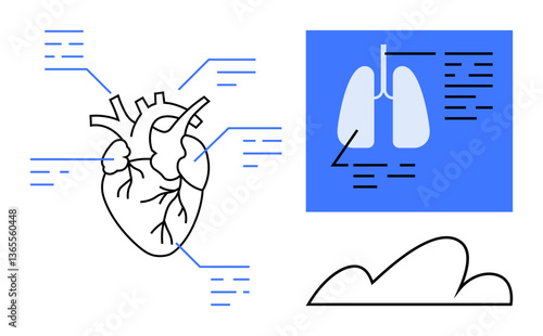 Heart diagram with labeled parts and lungs diagram in a blue frame. Simplified cloud element at bottom. Ideal for education, healthcare, anatomy, research, biology, cardiology, respiratory system