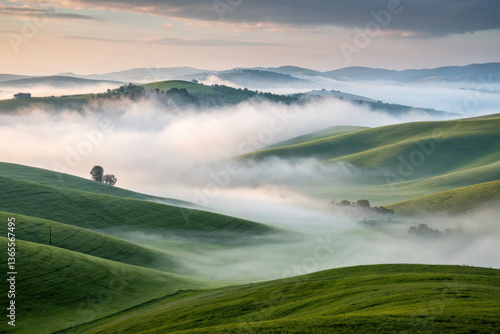 serene misty morning landscape showcases rolling green hills enveloped in soft stratus clouds, creating tranquil and picturesque scene