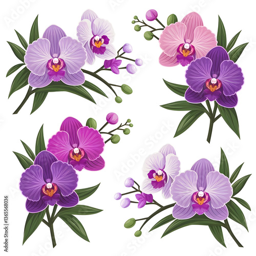 Wallpaper Mural Blooming Orchid Flower – Bright, Vibrant & Luxurious Multicolored Orchids for a Stunning Natural Beauty Torontodigital.ca