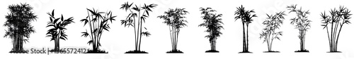 Array of Trees Silhouettes: A striking collection of diverse tree silhouettes, exquisitely rendered in monochrome, presenting an artistic and evocative interpretation of botanical forms. 