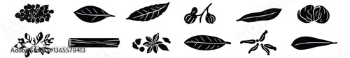 Monochrome Herbal Elements: A series of elegant monochrome illustrations showcase an array of herbal elements, including leaves, berries, stems, and flowers.