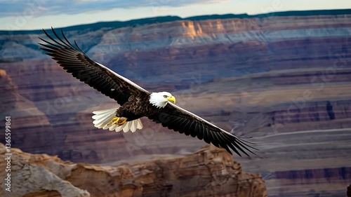 Wallpaper Mural Majestic bald eagle soars over rugged canyons at dusk Torontodigital.ca